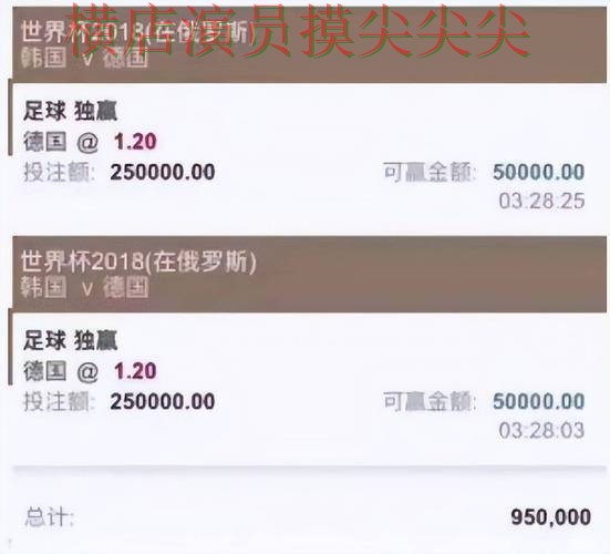 世界杯数据期间热门世界杯投注平台解析与真实体验分析