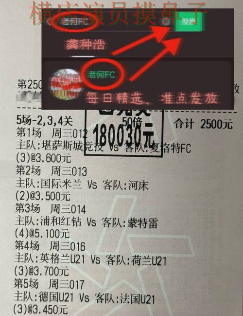 汇总世界杯投注网站大全：从稳定性评测到直播观看全流程解析 - 世界杯赛事中心